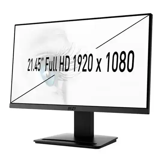 MSI PRO MP223 22" FHD 100Hz VA Business Class Monitor